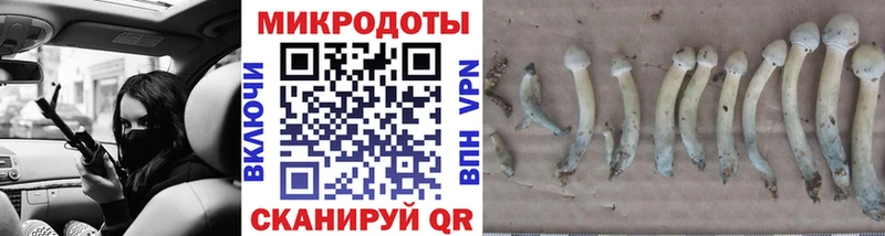 купить  сайты  Демидов  Галлюциногенные грибы ЛСД 